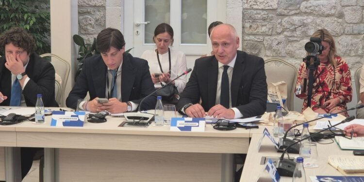 Kapetanović: Ballkani duhet eksportojë ide jo vetëm punëtorë