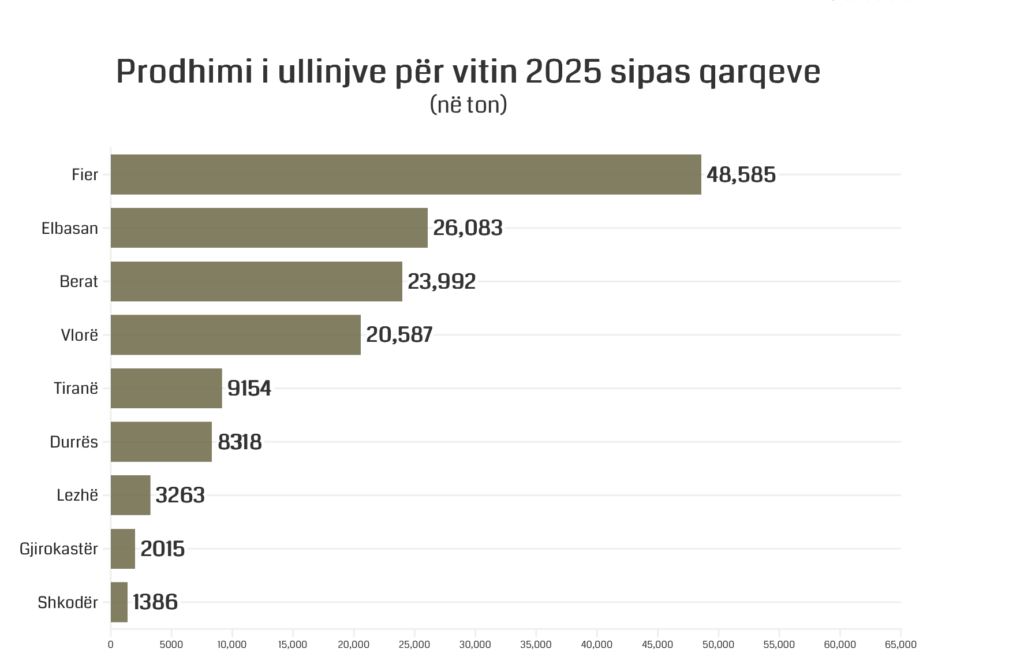 mbi-123-mije-tone-ullinj-per-vaj-ne-vitin-2025-fieri-zemra-e-ullishtarise-shqiptare