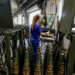 Europa bëhet gati për luftë, gjermanët e Rheinmetall ndërtojnë fabrikën gjigante të armëve në Alpe