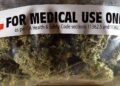 VENDIMI/ Kanabisi mjekësor nën mbikëqyrje totale, çdo bimë do të pajiset me çip dhe kod unik
