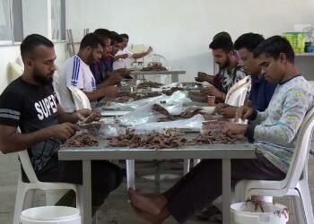 Krahu i punës i shqiptarëve po zëvendësohet nga indianët dhe filipinasit, lejet e punës për të huajt rriten 43%