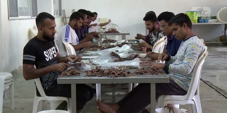 Krahu i punës i shqiptarëve po zëvendësohet nga indianët dhe filipinasit, lejet e punës për të huajt rriten 43%