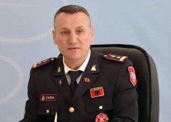 ÇUDIA/ Kreu i zjarrfikësve dorëhiqet në kulmin e zjarreve në vend