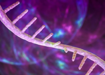 Shkencëtarët zbulojnë një mënyrë të re për barna mRNA më efikase