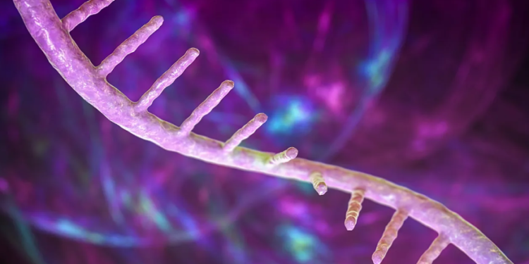 Shkencëtarët zbulojnë një mënyrë të re për barna mRNA më efikase