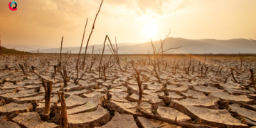 Bota përgatitet për temperatura edhe më të larta, El Niño do të godasë edhe ushqimet