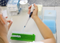 Shkencëtarët po përdorin inteligjencën artificiale për të krijuar viruse që luftojnë bakteret rezistente ndaj antibiotikëve