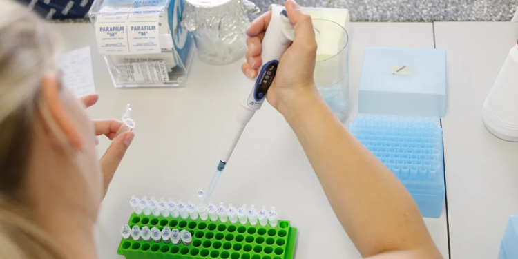 Shkencëtarët po përdorin inteligjencën artificiale për të krijuar viruse që luftojnë bakteret rezistente ndaj antibiotikëve