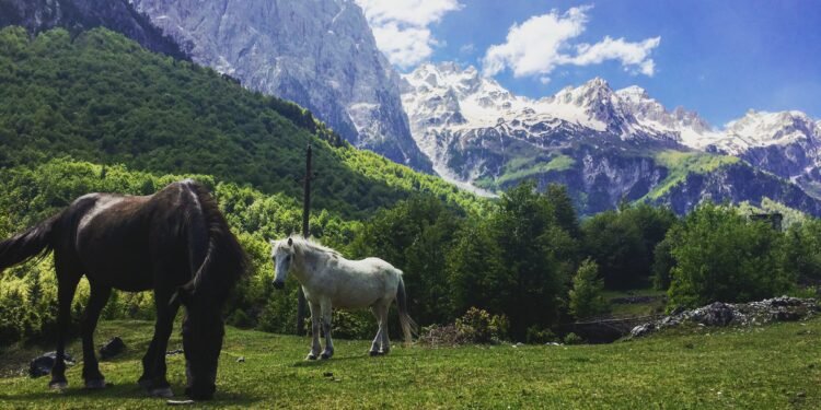 Dëmton mjedisin, paguan faturën! Bizneseve u ngarkohen edhe analizat, ekspertët dhe kostot ligjore