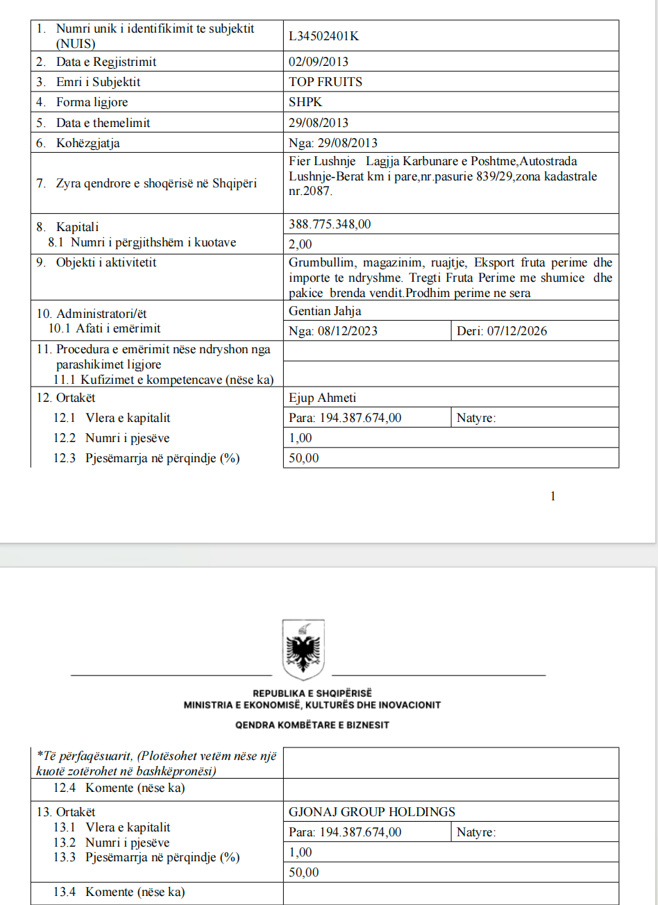Struktura e pronesise se kompanise