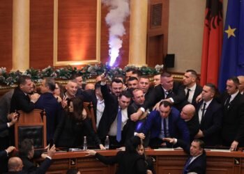 Nga Banka e Shqipërisë tek Parlamenti Evropian, punësimet dhe të ardhurat e familjarëve të deputetëve të opozitës