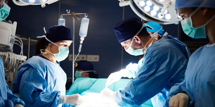 Kush pacient duhet të bëjë transplant? AI dhe mjekët nuk japin të njëjtën përgjigje