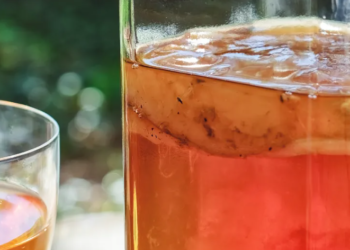 Kombucha, a është vërtet kjo pije “mrekullibërëse” për shëndetin?