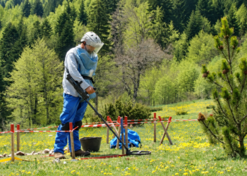 UNDP me Program të Ri 5-vjeçar për Shqipërinë