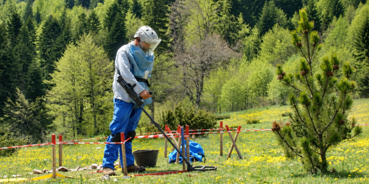 UNDP me Program të Ri 5-vjeçar për Shqipërinë