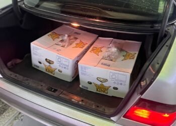 “Kapëm dy kuti banane kontrabandë”, doganierët e Bllatës i zë sedra pas publikimit të tarifave të ryshfetit për naftën dhe ushqimet