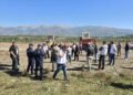 REVOLTA/ Plas në Gjoricë, banorët kundër parkut fotovoltaik: Na thanë për 1 po marrin 42.5 hektarë. Çështja shkon në SPAK