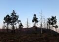 U shkatërruan nga ndërtimet, guroret dhe prerjet, qeveria përgatit heqjen nga lista të dhjetëra Monumenteve të Natyrës