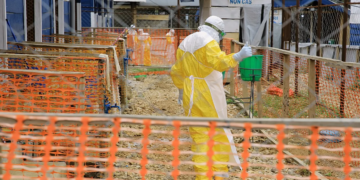 Inteligjenca artificiale në shëndetësi, nga lufta kundër epidemive te mjekët e familjes