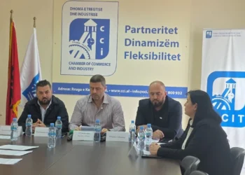 Biznesi, thirrje protestuesve: Mos dëmtoni sipërmarrjen private!