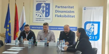 Biznesi, thirrje protestuesve: Mos dëmtoni sipërmarrjen private!
