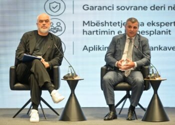 Si po rrit Banka e Shqipërisë çmimet përmes blerjes masive të eurove që kanë “mbytur” tregun