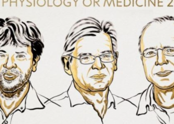 Nobeli në Mjekësi u jepet tre shkencëtarëve për një zbulim që ndryshoi studimin e trurit