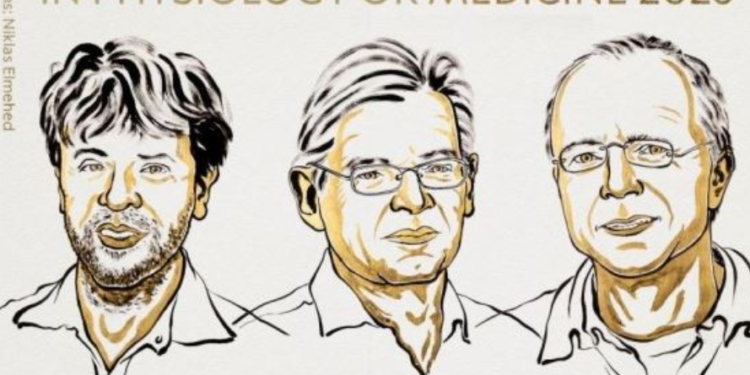 Nobeli në Mjekësi u jepet tre shkencëtarëve për një zbulim që ndryshoi studimin e trurit