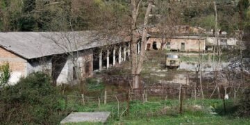 Ligji i ri, shteti do t’u japë PRONA falas OJF-ve që investojnë 5 mln euro: Çfarë po përgatitet?!