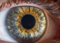 Retina zbulon sinjale të sëmundjeve, nga diabeti te hipertensioni