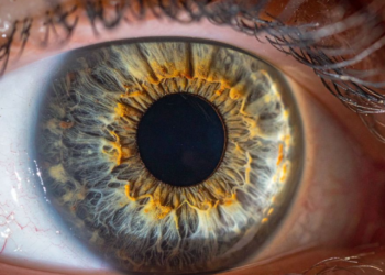 Retina zbulon sinjale të sëmundjeve, nga diabeti te hipertensioni