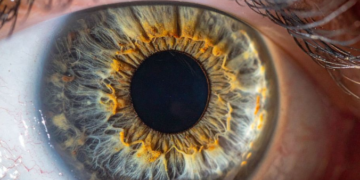 Retina zbulon sinjale të sëmundjeve, nga diabeti te hipertensioni